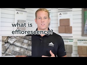 Why do my pavers have efflorescence?