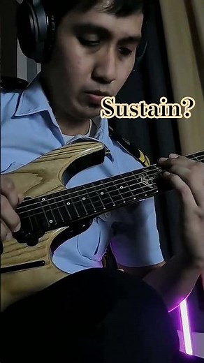 Sustainer / Sustainiac Pick ups #sustainer #sustainiac #forevermore