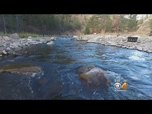Restoration Project In Big Thompson River Underway