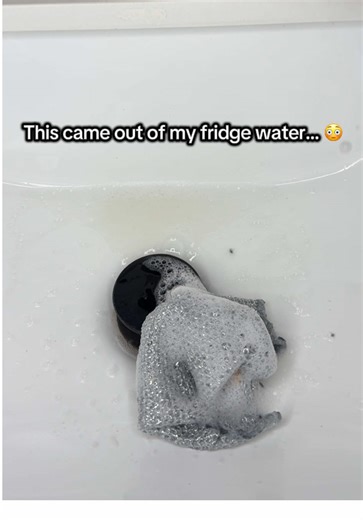 12pc non scratch cloths for this price?👀 YES! 🙌🏻 #multipurposecloth #cleaning #cleaningreset #nonscratchdishcloth #cleantok