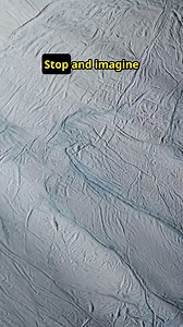 1.6K views · 40 reactions | Saturn's moon Enceladus has captivated...