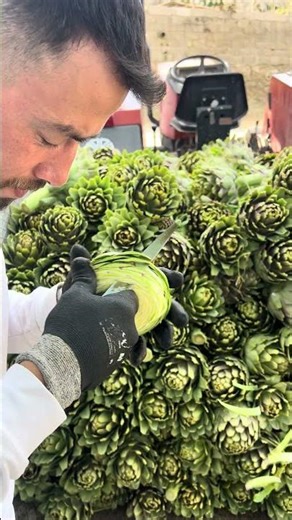 Hello güzel ailem .Taze enginar sezonu başladı #enginar #asmr #enginaryemeği #iftarsofrası #keşfet