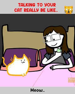 283 reactions · 48 shares | Hoomans love talking to their cats.... BUT DO YOU REALLY KNOW WHAT YOU'RE SAYING????!!!!!!  (Featured Pussypoke at the end!!) | Poku | Facebook