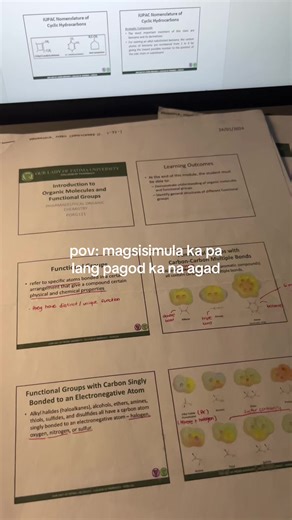 Life of a Drug Lord: A POV Perspective