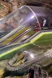 Underwater Museum in China is so beautifull. | Sherwan Ismail