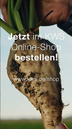 Direkt, Flexibel, Bequem! Bestelle jetzt deine KWS Zuckerrüben und sichere dir den Frühbestellrabatt
