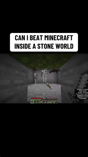 Beat Minecraft Challenge in a Stone World