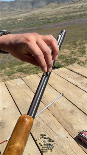 Grandpa’s Plinker Springfield/Savage 187s 22lr