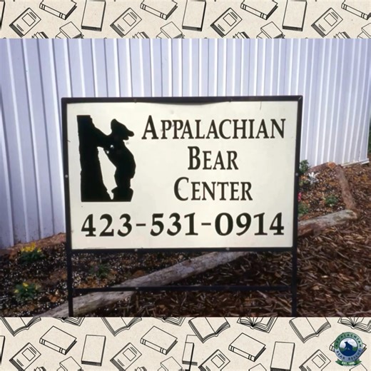 ABR Daily Update-September 15, 2025-A Case of Bear Spray and a Shotgun Weather: 80F (27C) Humidity 54%, Cloudy ☁️ This is a clip from our membership group’s first book club meeting. From humble beginnings with only $722.00 in the bank account, former manager of Appalachian Bear Rescue, Daryl Ratajczak recalls his time in the late 90’s working for what now is the bear rescue you are all familiar with today. If you would like to join in on these exclusive conversations with Daryl and the current A