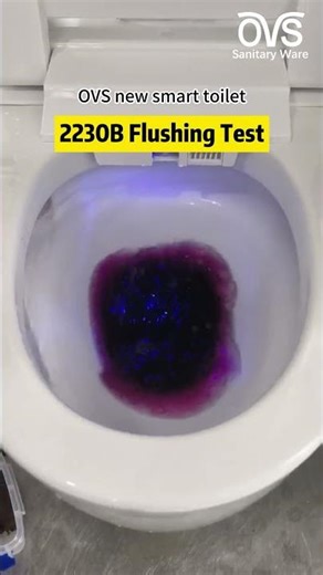 OVS 2230B Powerful Flush,Leaving No Trace
