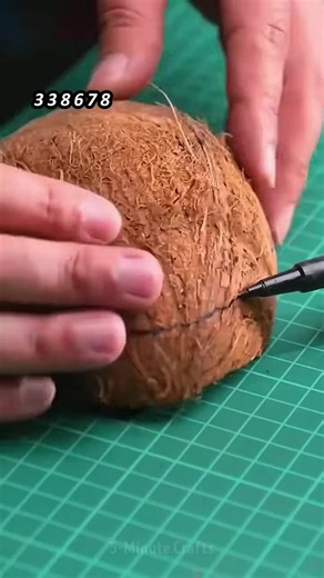 Discover the Complete Book on NovelMaster Now