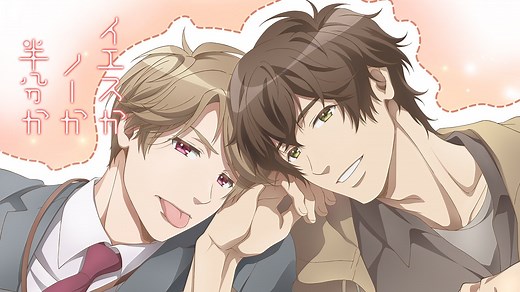 Yes, No, or Maybe Half