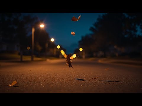 Night Calm 🌙 Soft Music & Gentle Night Ambience | Relax, Study, Sleep (Live)