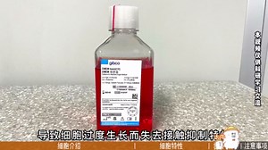 【丰晖生物】大牛细胞手册 — NIH3T3细胞培养，小鼠胚胎成纤维细胞培养攻略。