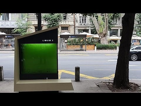 This 'liquid tree' in Belgrade is fighting back against air pollution