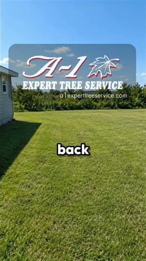 Take Back Your Property From Overgrowth 🌿🌳