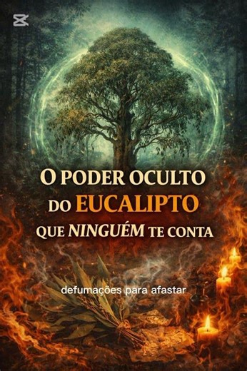 #eucalipto #espiritualidade #energia #limpezaespiritual #natureza #oculto #misterio #proteção