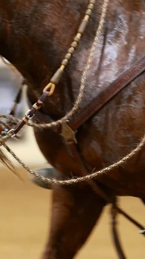Why I shoot cow horse: 1️⃣ No two runs look alike. 2️⃣ The way a good horse watches a cow gets me every time. 3️⃣ Fence turns? I’m in awe… and maybe dreaming I’ll be that cool one day with a gritty little horse of my own. Truth is, I’m just a crazy fangirl with a camera, and as a result some of you get some really cool unique photos. #nrcha @murphy_performance_horses Murphy Performance Horses #workingcowhorse #stevierayvaughan | Tara McKenzie Fotos