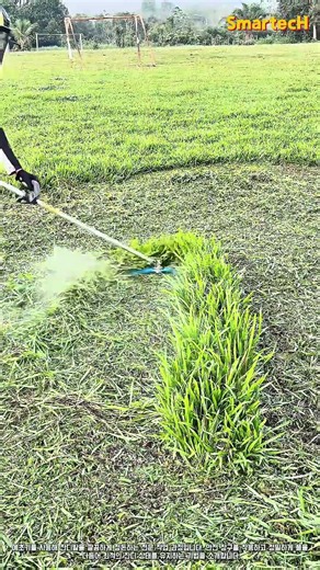 효율적인 잔디 관리와 안전한 예초기 사용법 #worker #process #lawnmower #safety #field