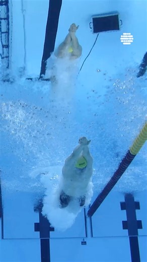 1.9M views · 25K reactions | Pop quiz: How many breaths did Cameron McEvoy take? #Swimming #AQUASingapore25 | World Aquatics | Facebook