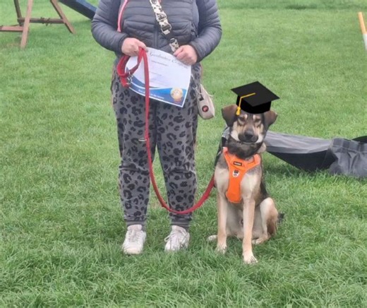 Shropshire Dog Training Centre on Reels