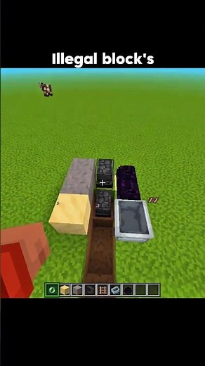 Minecraft’s MOST ILLEGAL Block 😳