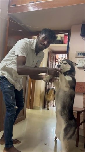 Trending enga dance..😹💗|wait for end..😹|#shorts #trending #viral #shortsfeed