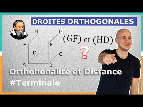 Montrer que 2 DROITES sont ORTHOGONALES dans l'Espace - Exercice Corrigé - Terminale