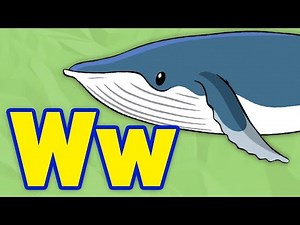 Phonics - Letter “W “ | Learn the Alphabet | Pocket Preschool