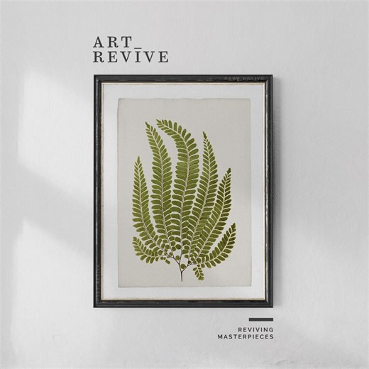 Green Fern Illustration | PRINTABLE | Antique Botanical Drawing | Natural History | Digital DOWNLOAD | Art Revive_b009 - Etsy
