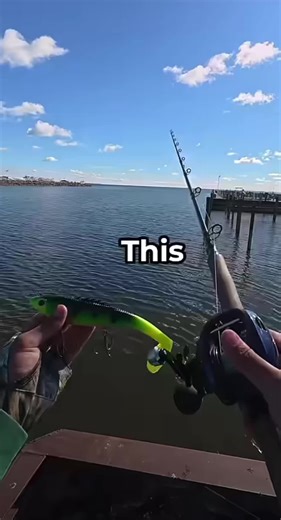 “This guy caught a huge musky” #fishing #fyp #viral #muskyfishing | Fishing Videos
