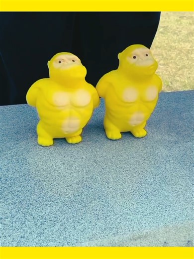 Funny Monkey Moments & Hilarious Clips