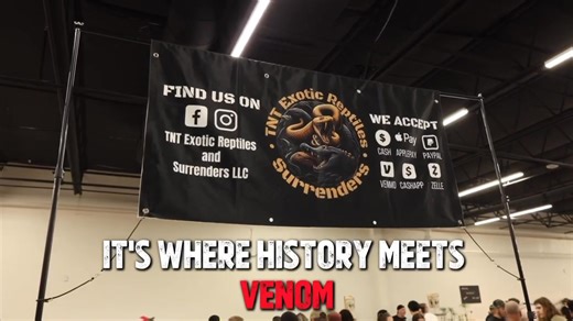 🔥 From snakes to skinks, geckos to gators—the Hamburg Reptile Show has it all, and @thecoldbloodedcollective caught the action on film! 🐍🐢 See the highlights in their video, then come join us live on 🗓️October 18th at 📍 6180 Morgantown Rd, Morgantown, PA 19543. Get ready for a reptile adventure like no other! | Northwestern Berks Reptile Show: Hamburg Reptile Show