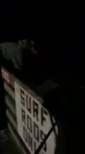 Galveston Fishing Pier on Reels | Facebook