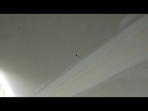 Plastering drywall ceiling....Drywall Plaster is live!