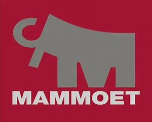 1.5K views · 319 reactions | nice SPMT video from Mammoet... | Techlift | Facebook