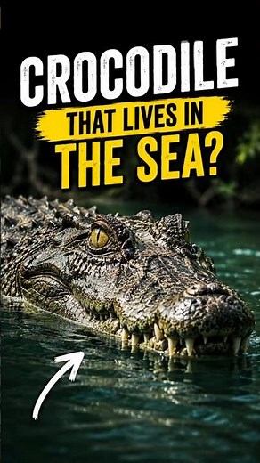 How Evolution Made Saltwater Crocodiles the Perfect Ocean Predator