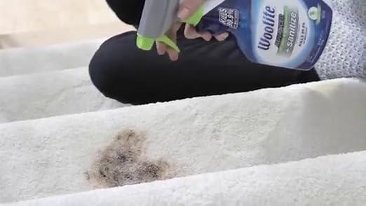 Woolite Advanced Pet Stain & Odor Remover + Sanitize, 11521 (22fl oz)