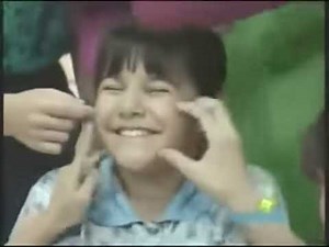 Barney and Friends Season 1 Custom Theme