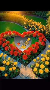 Golden Rose on Reels