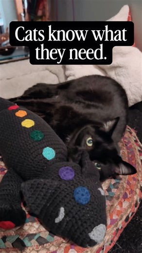 Melissa Sherman | Animal Communicator | Tibby is completely obsessed with her new crocheted chakra kitty filled with herbs. 🌿🤍 Animals often know what they need long before we... | Instagram