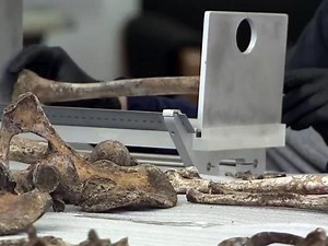 Dozens of remains in NC still unidentified. Here's how you can help experts determine who they were