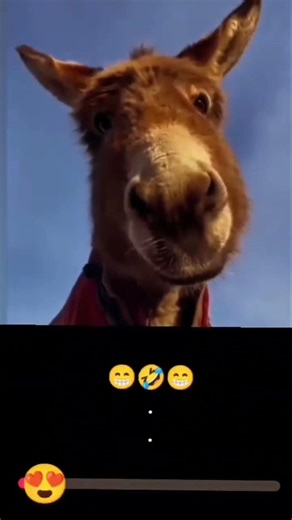 #rider #train #rider #jssb #train