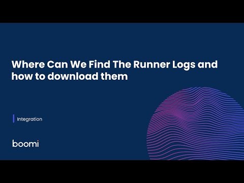 Where Can We Find The Runner Logs and how to download them
