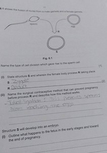 6.1 shows the fusion of nuclei from a male gamete and a female ... | Filo