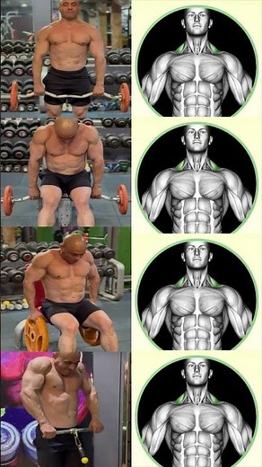 "🔥 5 Best Traps Exercises for Massive Gains! 💪"