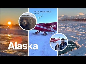 Winter in Alaska - Travel vlog part 1 | Wildlife | Talkeetna | Denali Flight tour