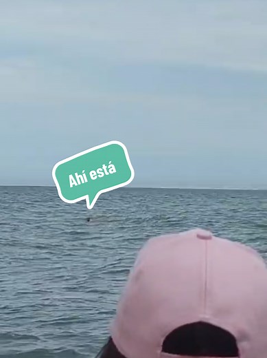 Naufrago Rescatado en Mar del Plata