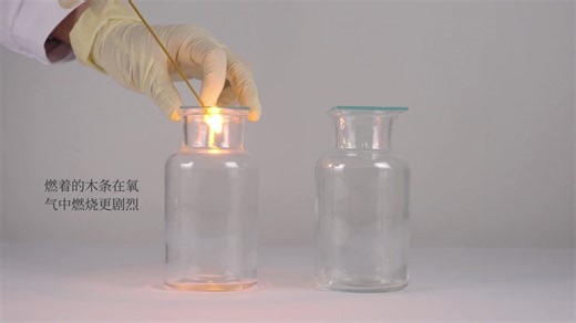 【化学】氧气和二氧化碳的比较