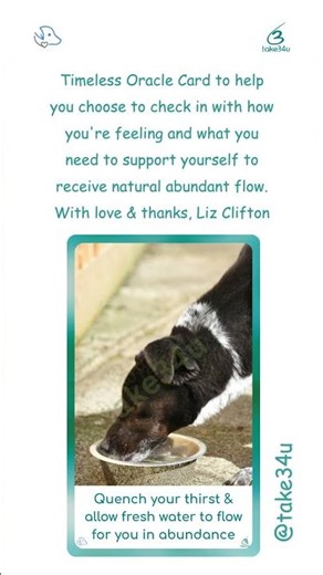 Your Daily Intuitively Channelled Oracle Wisdom Reading Card #shorts #oraclecardreading #dailycard